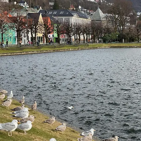 Apartment View In Center Of - 3 Bedrooms *
